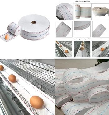 types of egg collection belt Different types of egg collection belts